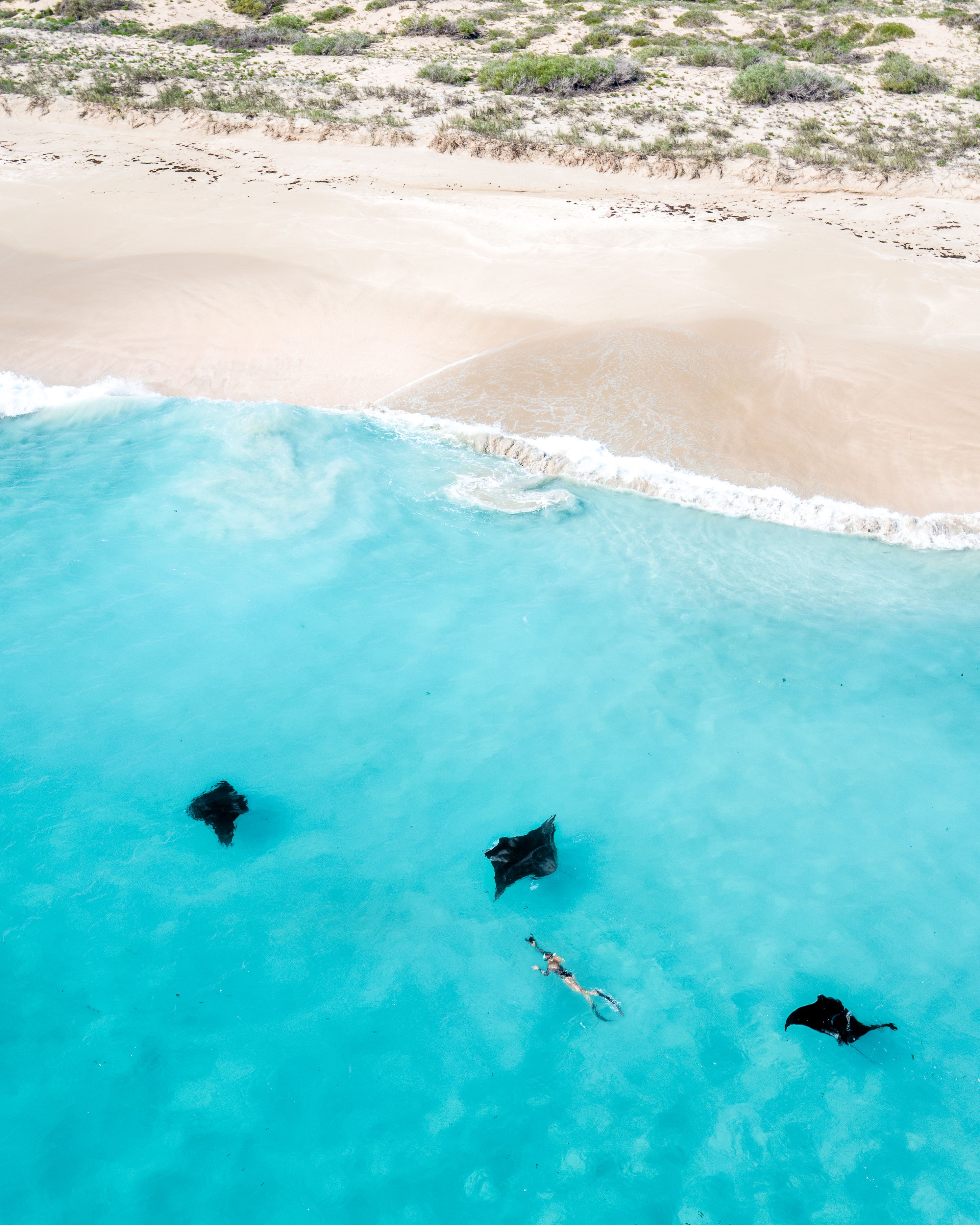 Ari Atoll Diving — The Manta Highway