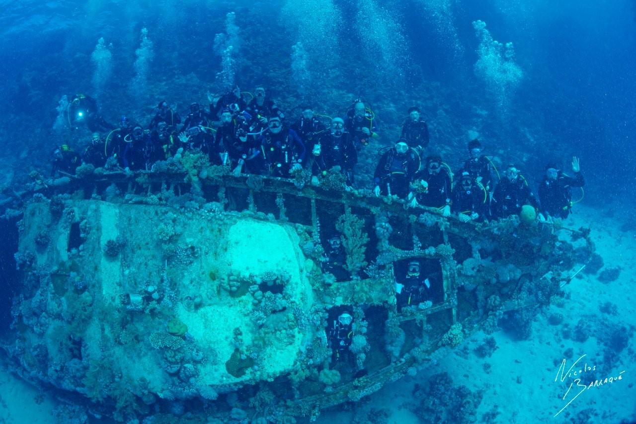 Egypt Liveaboard vs Land-Based Diving: Which Is Right for You?