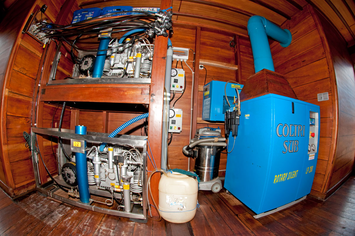 Indonesia Underwater Photography Guide