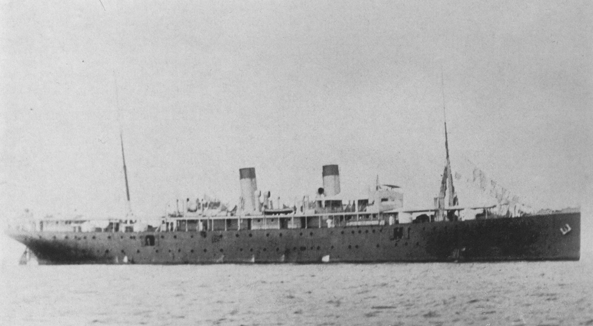 Kormoran