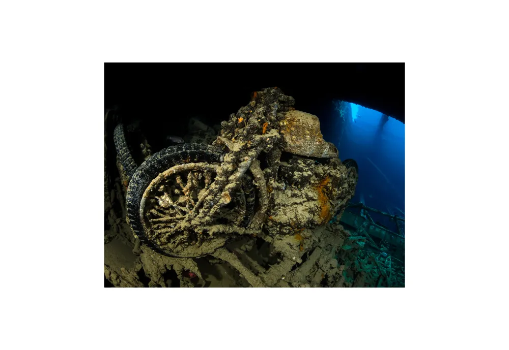 <p class="p1"><i>Découvrez notre croisière&nbsp;</i></p>