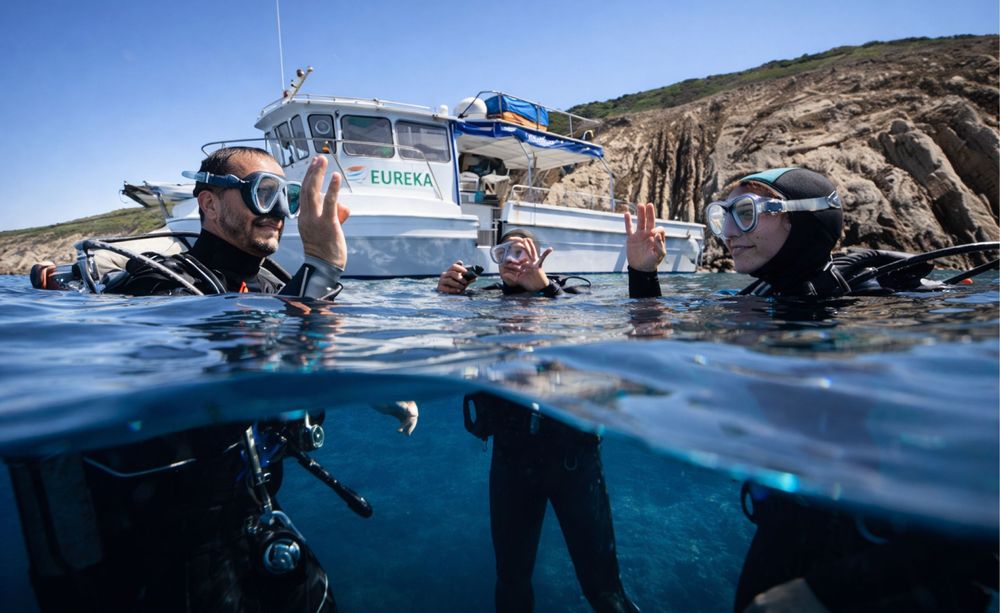 Plongée à La Londe-les-Maures : Port-Cros, épaves et Méditerranée préservée