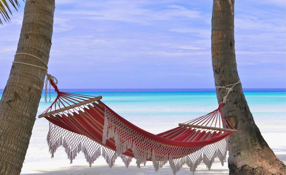 Plongée aux Maldives : lagons, mantas et requins en mer turquoise