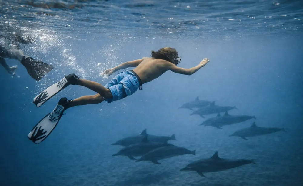 5 raisons de partir en croisière plongée en famille