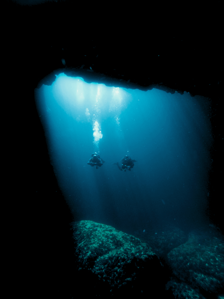 <p class="p1"><i>Découvrez notre croisière</i></p>