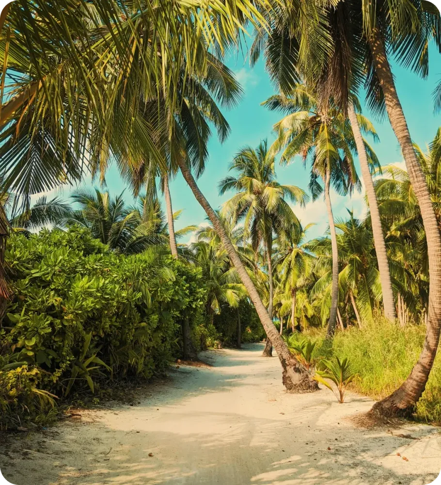 <p style="-webkit-text-stroke-width:0px;caret-color:rgb(0, 0, 0);color:rgb(0, 0, 0);font-style:normal;font-variant-caps:normal;font-weight:400;letter-spacing:normal;orphans:2;text-align:start;text-decoration-line:none;text-decoration-style:solid;text-decoration-thickness:auto;text-indent:0px;text-transform:none;white-space:normal;widows:2;word-spacing:0px;" data-start="1114" data-end="1159"><strong data-start="1114" data-end="1159">Un accompagnement avant, pendant et après</strong></p>