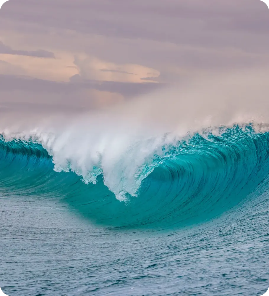 <p style="-webkit-text-stroke-width:0px;caret-color:rgb(0, 0, 0);color:rgb(0, 0, 0);font-style:normal;font-variant-caps:normal;font-weight:400;letter-spacing:normal;orphans:2;text-align:start;text-decoration-line:none;text-decoration-style:solid;text-decoration-thickness:auto;text-indent:0px;text-transform:none;white-space:normal;widows:2;word-spacing:0px;" data-start="174" data-end="283">Trouvez en un coup d’œil la croisière qui correspond à vos envies et à vos dates</p>