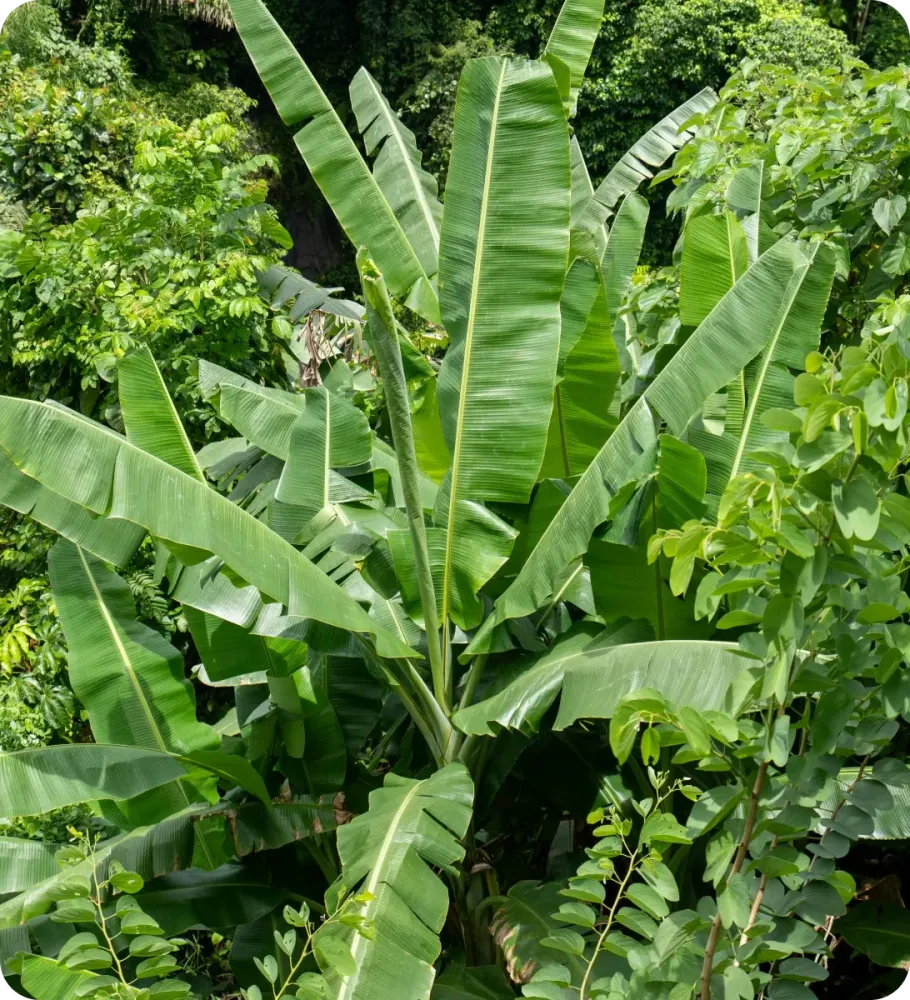 <p style="-webkit-text-stroke-width:0px;caret-color:rgb(0, 0, 0);color:rgb(0, 0, 0);font-style:normal;font-variant-caps:normal;font-weight:400;letter-spacing:normal;orphans:2;text-align:start;text-decoration-line:none;text-decoration-style:solid;text-decoration-thickness:auto;text-indent:0px;text-transform:none;white-space:normal;widows:2;word-spacing:0px;" data-start="550" data-end="590">Nos engagements pour l’océan</p>