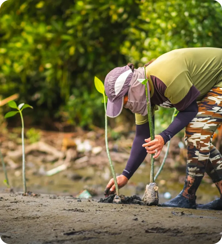 <p style="-webkit-text-stroke-width:0px;caret-color:rgb(0, 0, 0);color:rgb(0, 0, 0);font-style:normal;font-variant-caps:normal;font-weight:400;letter-spacing:normal;orphans:2;text-align:start;text-decoration-line:none;text-decoration-style:solid;text-decoration-thickness:auto;text-indent:0px;text-transform:none;white-space:normal;widows:2;word-spacing:0px;" data-start="763" data-end="795">Réduire notre impact</p>