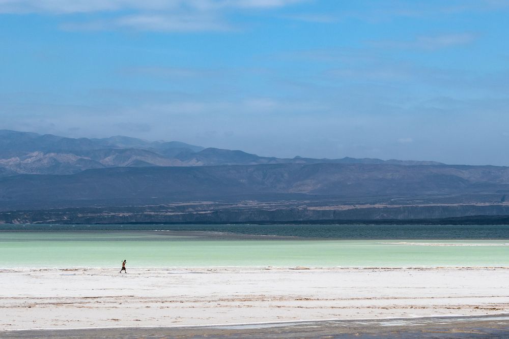 Plongée à Djibouti : requins-baleines et mer Rouge sauvage