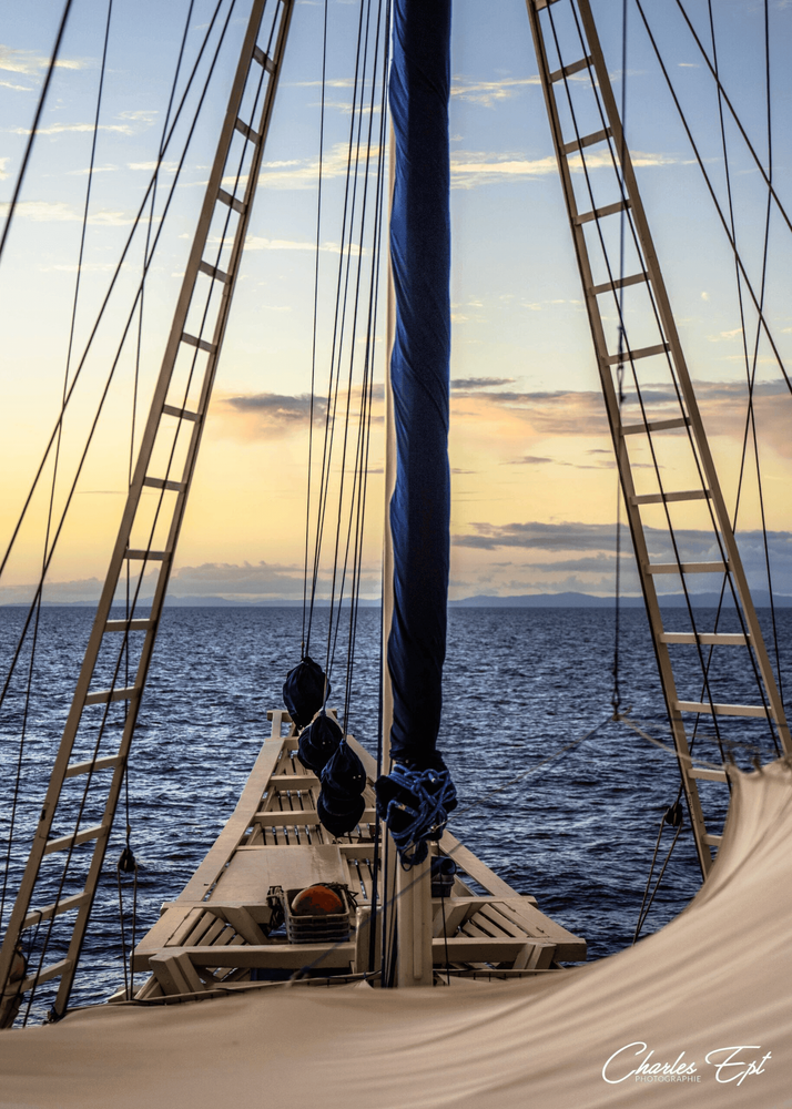 <p>Découvrez le <i>Aurora</i></p>