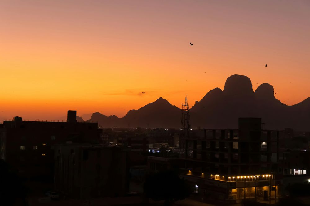 Plongée au Soudan : la mer Rouge dans sa forme la plus sauvage