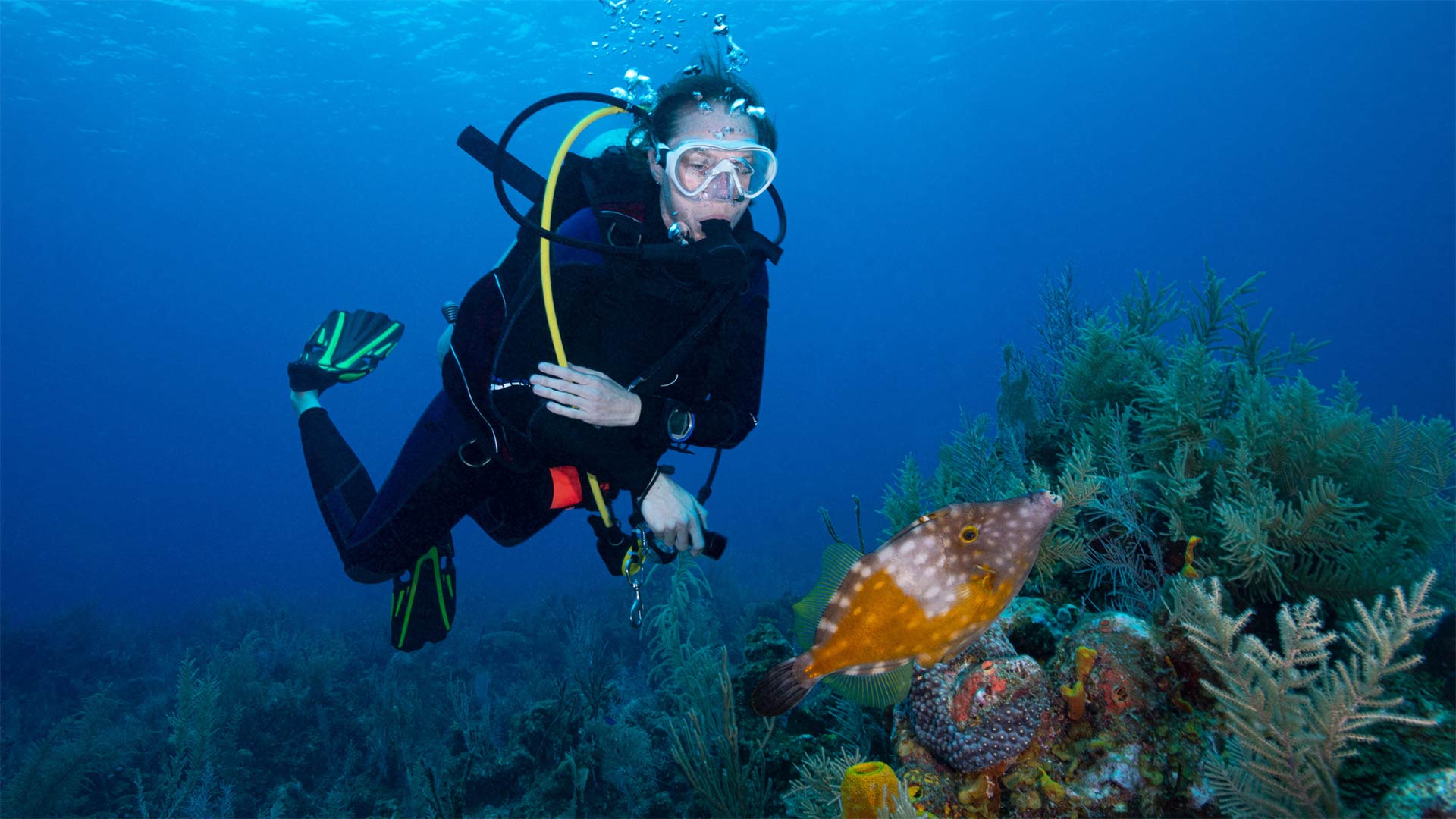 Madagascar Diving Guide: Nosy Be & Beyond