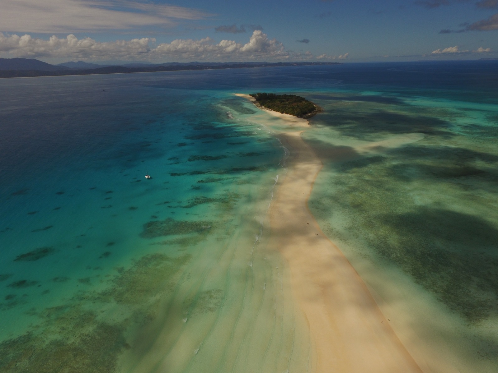Madagascar Marine Life: Rare Species Guide