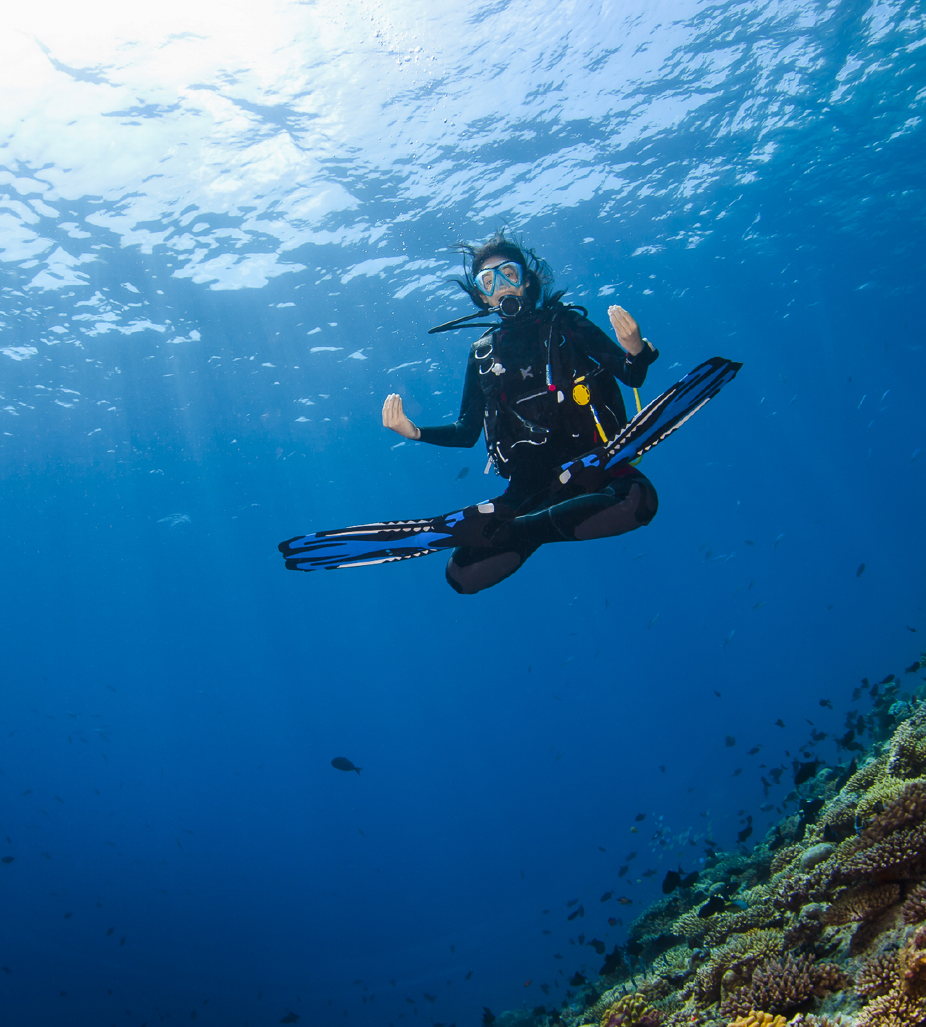 Maldives Diving Certification Requirements