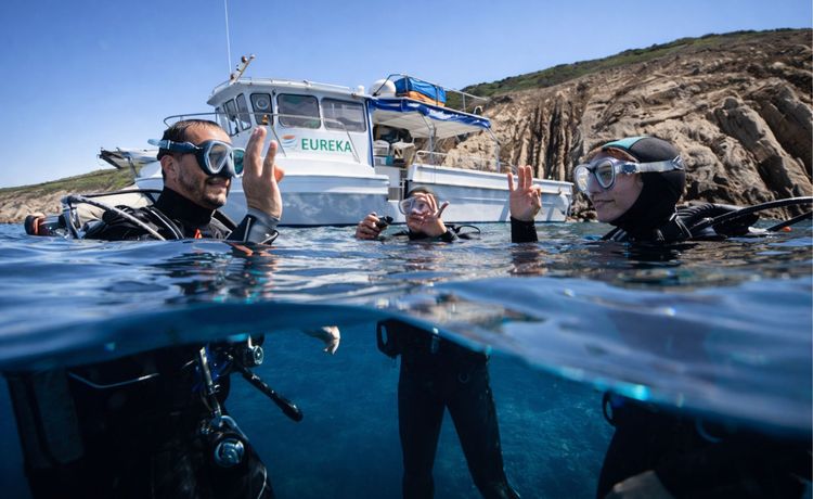 Plongée à La Londe-les-Maures : Port-Cros, épaves et Méditerranée préservée