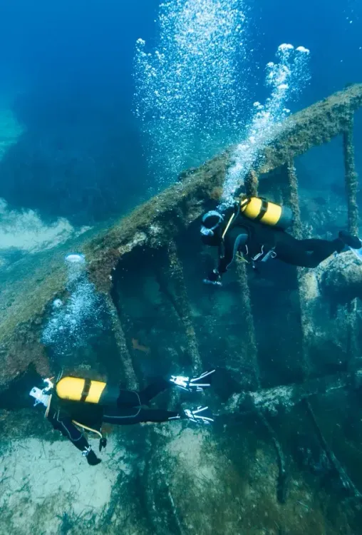 Quand partir & conditions