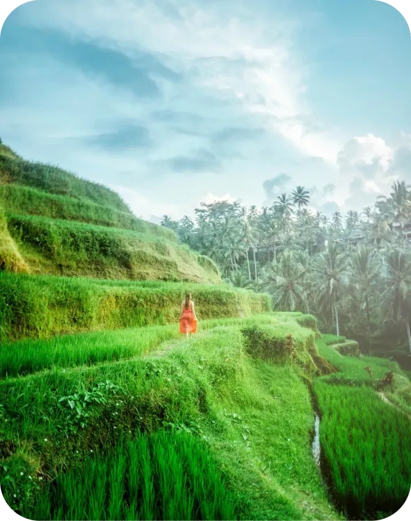 Safari plongée Bali et Nusa Penida avec Dune