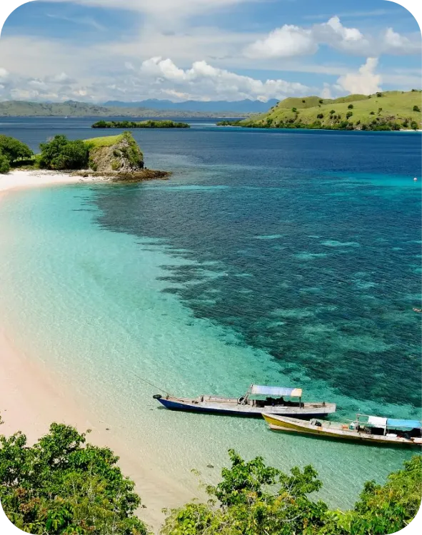 Croisière plongée en Indonésie - Raja Ampat, Halmahera, Lembeh - Le meilleur des deux mondes