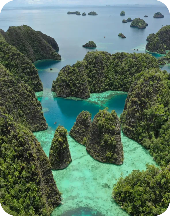 Croisière plongée en Indonésie - Raja Ampat Centre "Route Centrale"