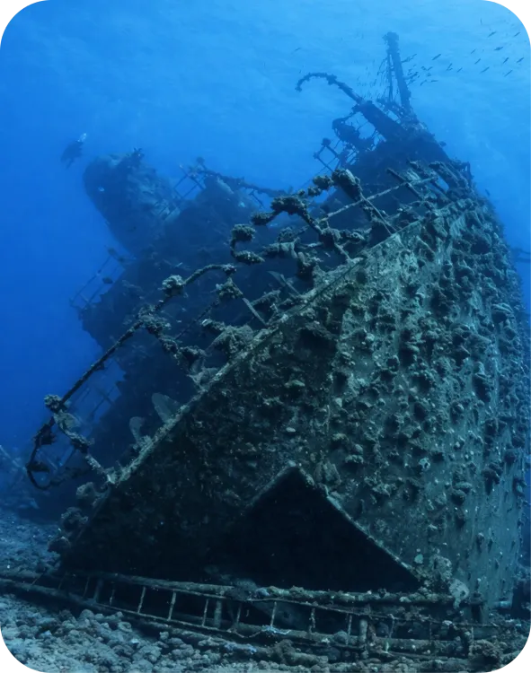 Croisière plongée "Epaves et tombants du Nord"