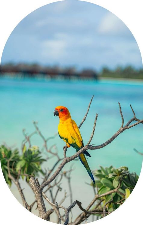 Préparer et réserver