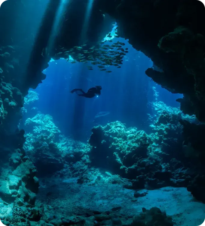 <p class="p1"><i>Découvrez notre croisière</i></p>