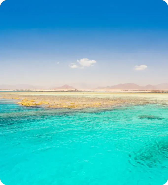 <p class="p1"><i>Découvrez notre croisière</i></p>