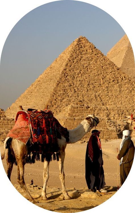 Vivre la destination