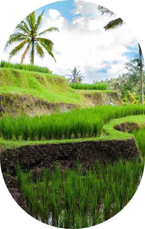 Quand partir & conditions