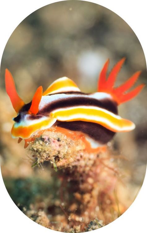 Quand partir & conditions