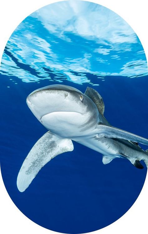 Préparer & réserver