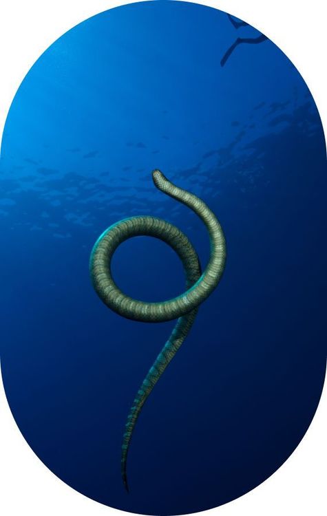 Préparer et réserver