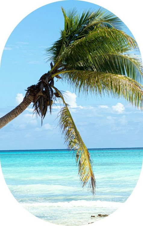 Vivre la destination