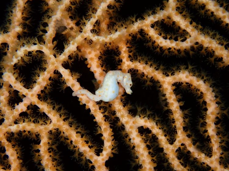 Préparer et réserver