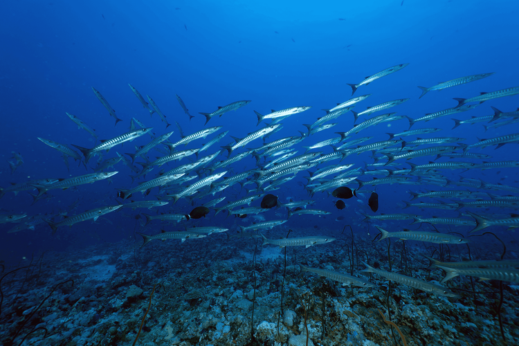 Préparer et réserver