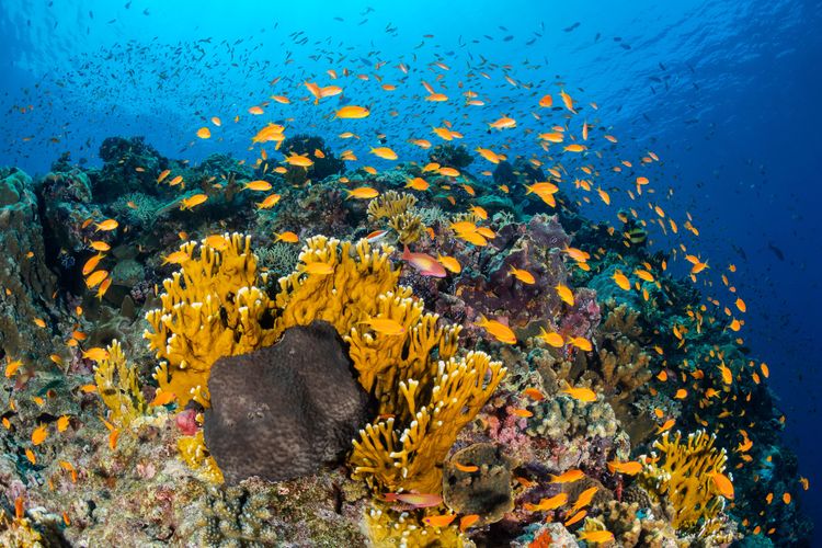 Préparer & réserver