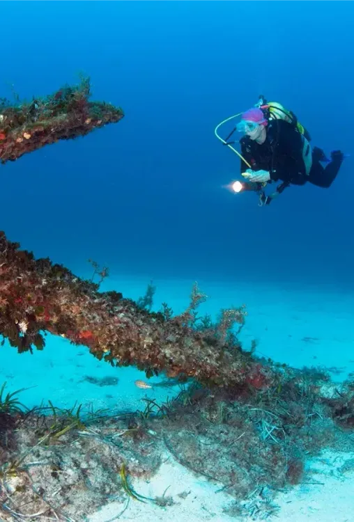 Quand partir & conditions