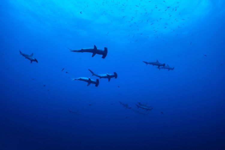 Quand partir & conditions