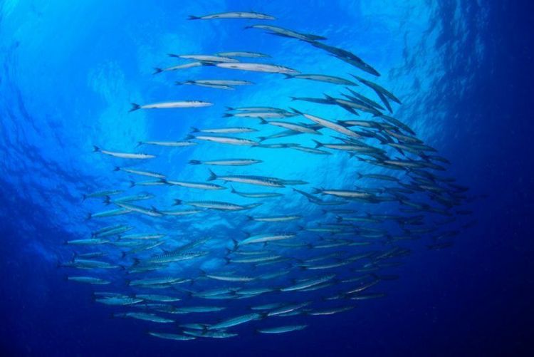 Quand partir & conditions