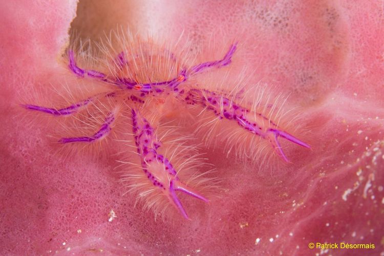 Quand partir & Conditions