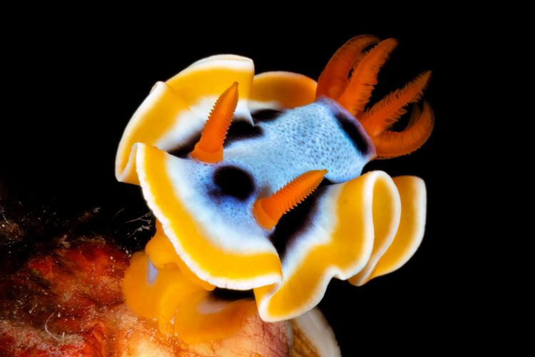 Quand partir et conditions