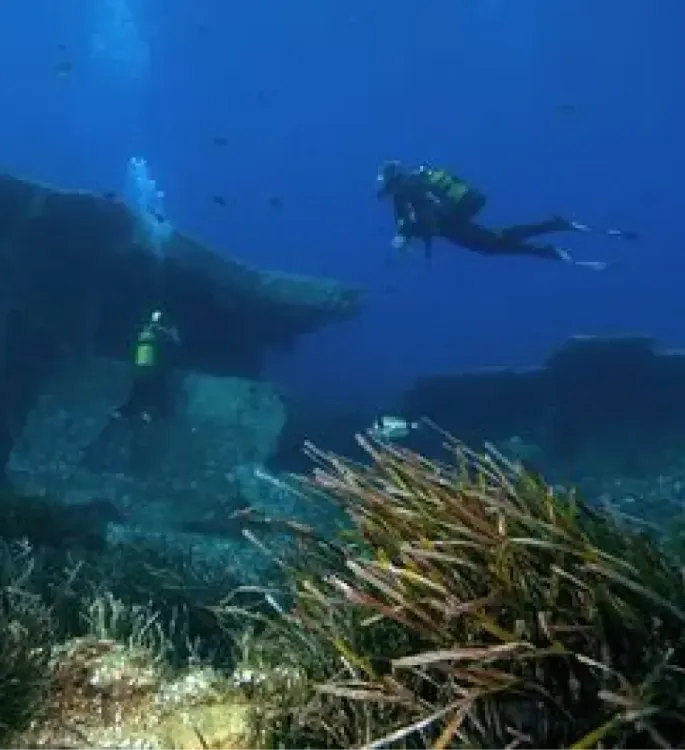 <p class="p1"><span class="s1">Plongée à La Londe: Porquerolles, Port-Cros et Le Levant, les pépites du Var</span></p>