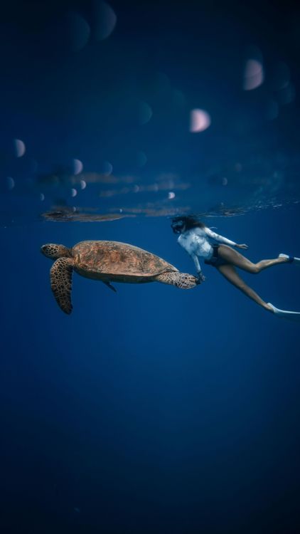 Quand partir & conditions