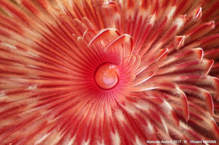 Préparer et réserver