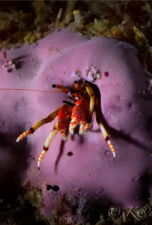 Préparer & réserver