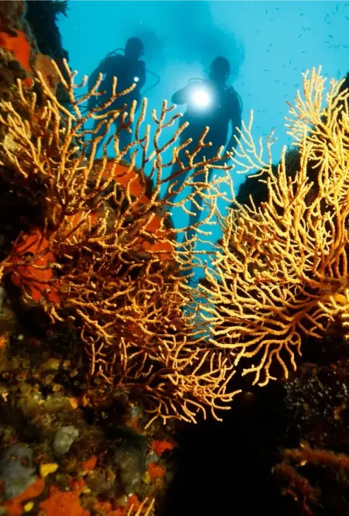 Préparer & réserver