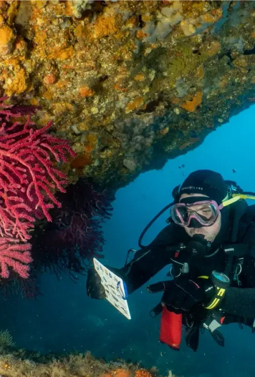 Quand partir & conditions