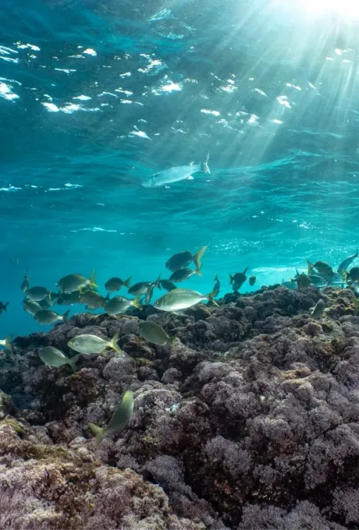 Vivre la destination