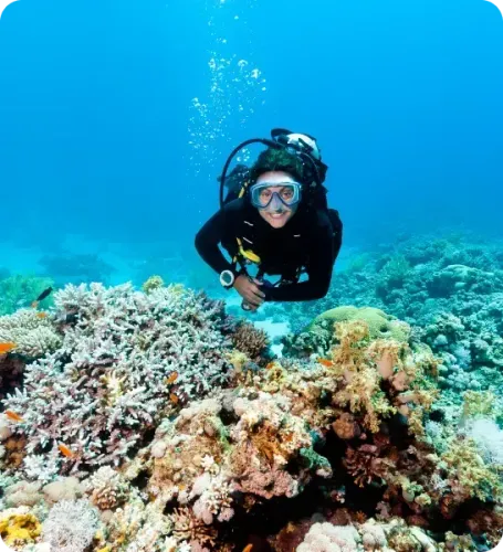 <p class="p1"><i>Pourquoi choisir un séjour plongée à Safaga ?</i></p>